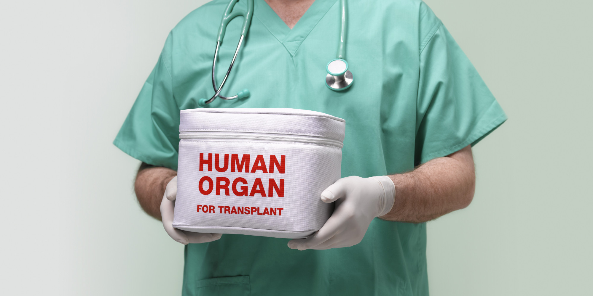 transplant purposes