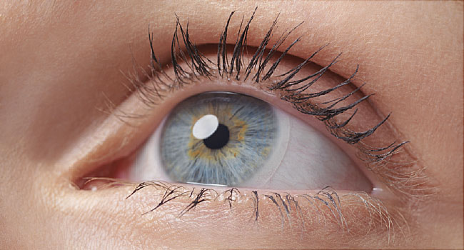 contact lenses