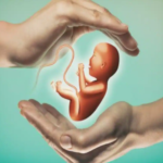 cost of fertility treatment