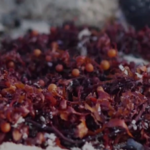 Sea moss