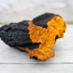 Chaga mushroom NZ