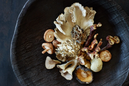 medicinal mushrooms