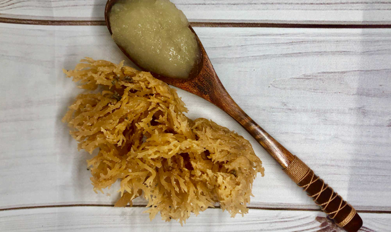 sea moss gel benefits
