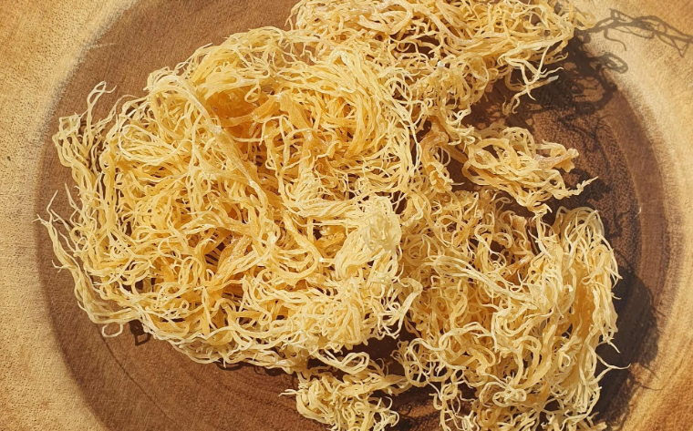 sea moss products
