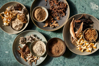 Mushroom powder in NZ
