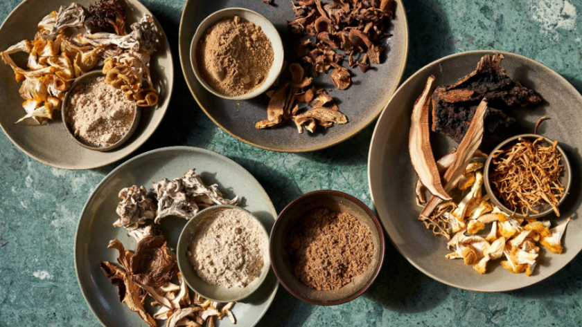 Mushroom powder in NZ
