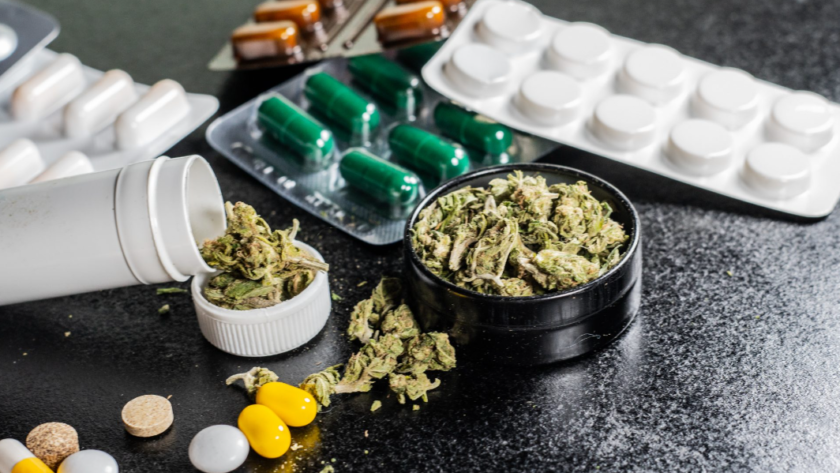 medical marijuana in NZ
