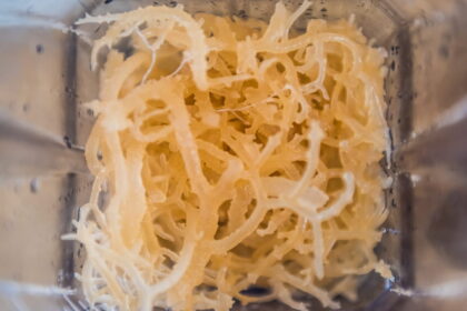 sea moss benefits list