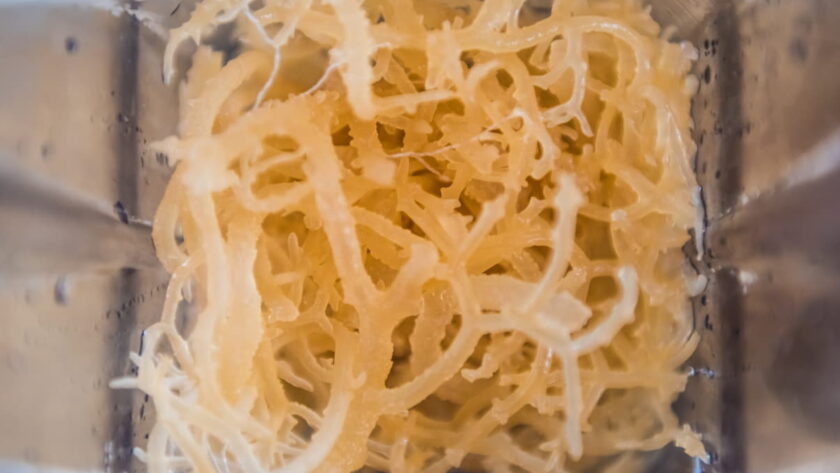 sea moss benefits list