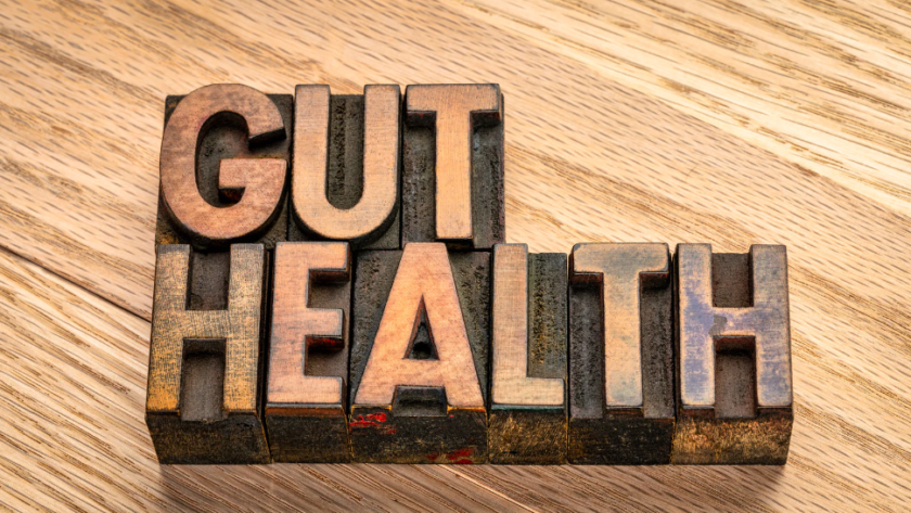 gut health in NZ
