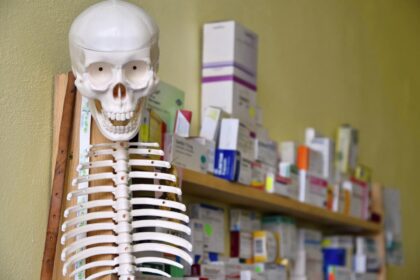 bones health supplements